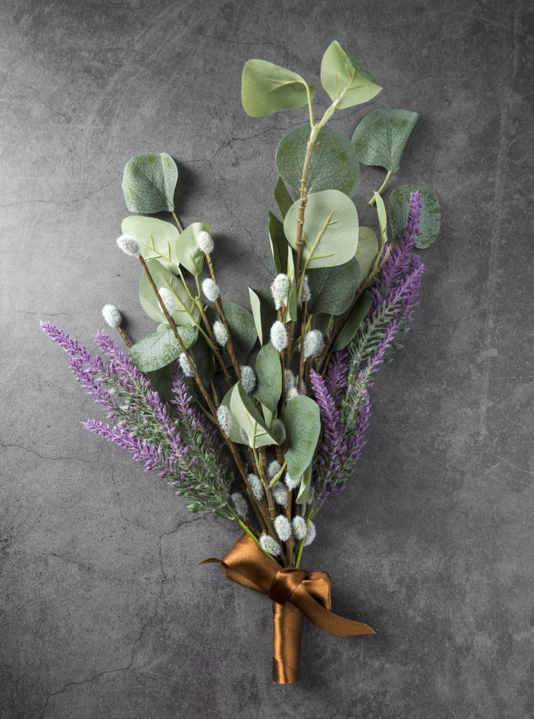 beautiful-gift-plants-cement-background